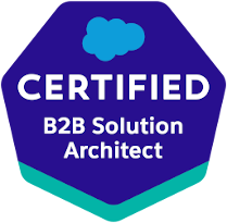 B2B Solution Architect