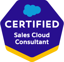 Sales Cloud Consultant